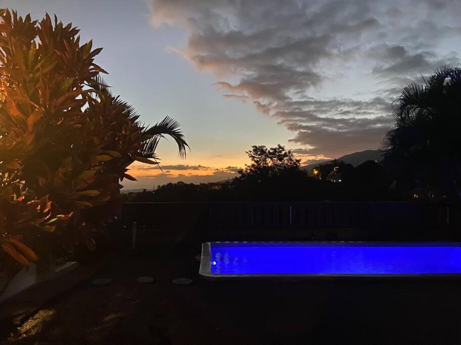 Cocooning Tropic Studio Avec Jacuzzi Privatif Saint-Louis Extérieur photo
