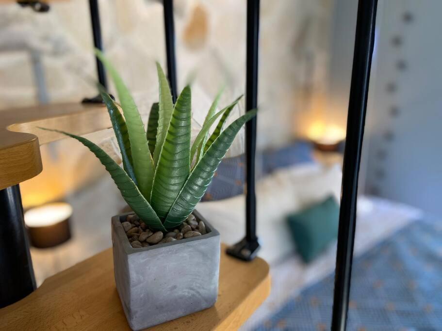 Cocooning Tropic Studio Avec Jacuzzi Privatif Saint-Louis Extérieur photo
